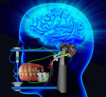 Cycle Occlusodontie 2022